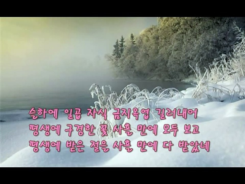 꽃구경 윤창수 지음
