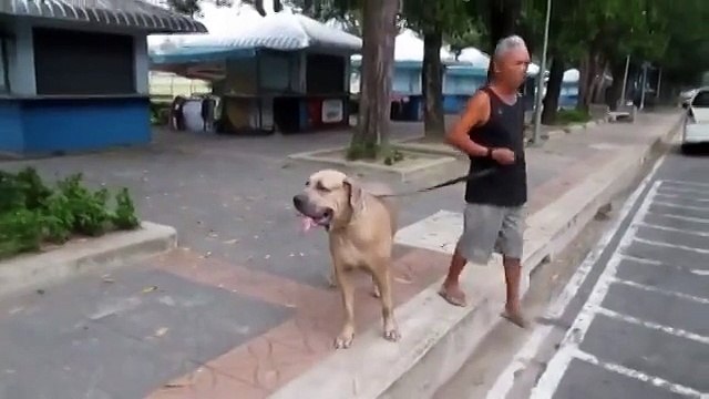 Шок ! Вот это материнский инстинкт