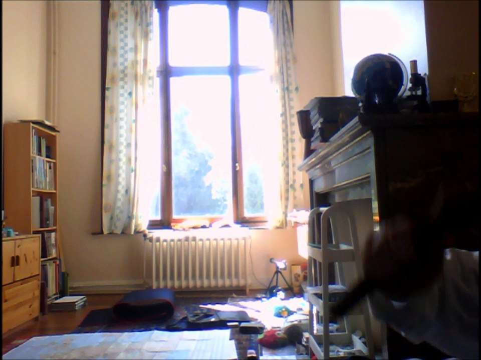 Non au chiens (les canides CEMDSD), cette race extremement malefique dangereuse stupide et sale ils faut les exterminer