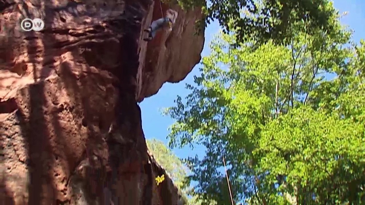 Palatinate Forest - Nature without borders | Discover Germany