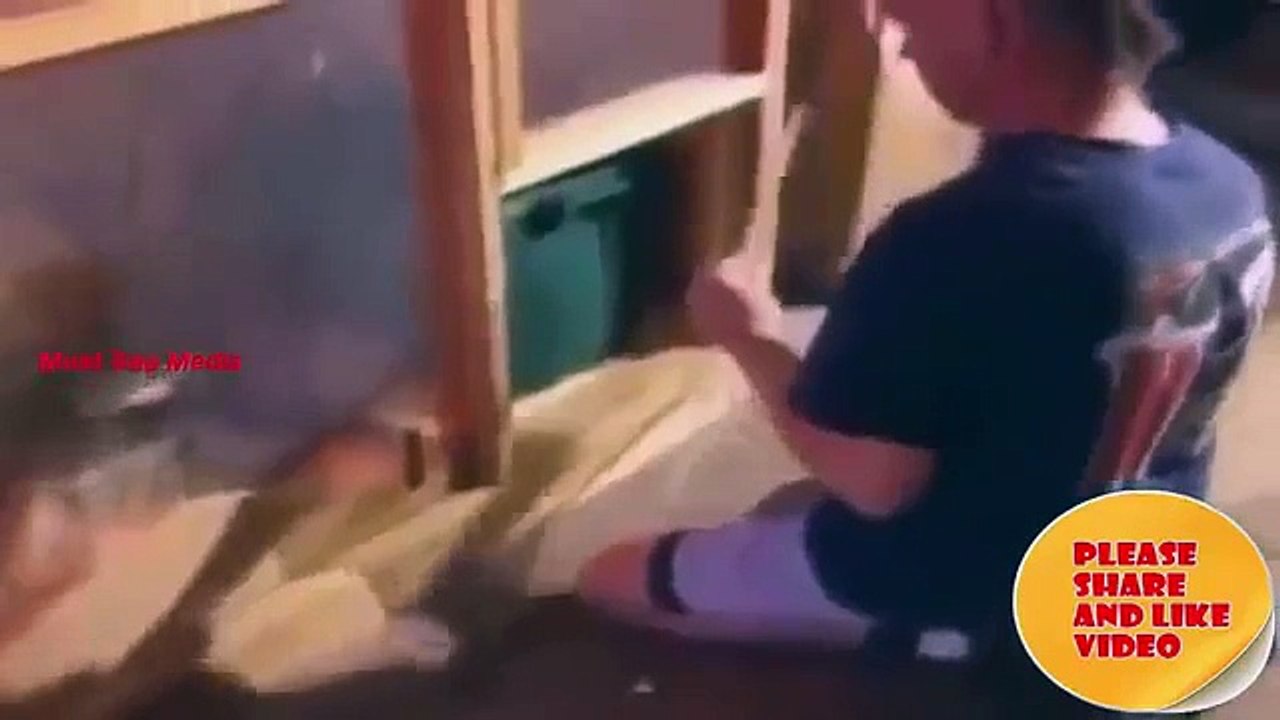 Incredible Animal Attacks on Humans Compilation | HD