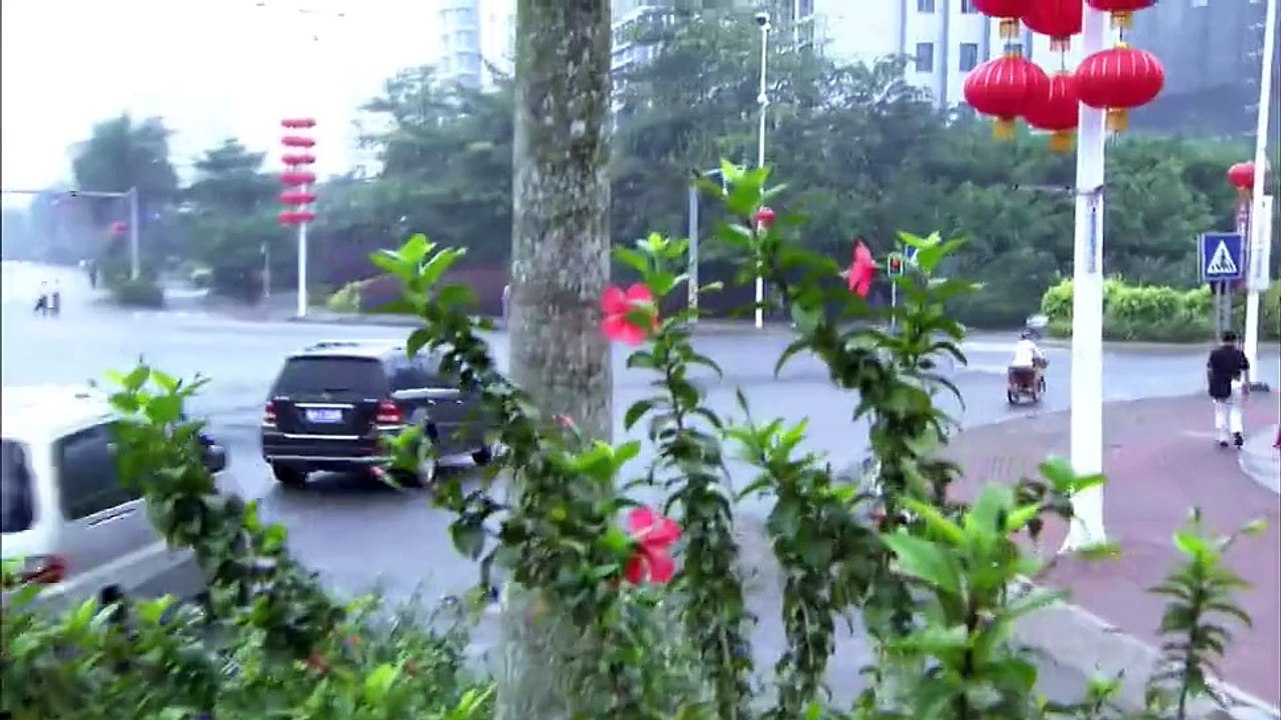 双生花08【超清720p】