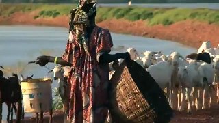 GLOBALMAGNUM: AFRICA: CLIMATE CHANGE & DEVELOPMENT (WORLD BANK)