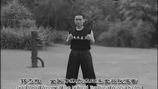 Pan Nam Wing Chun
