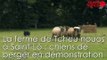 La ferme de Tcheu nouos à Saint-Lô. Démonstration en vidéo de chiens de berger.