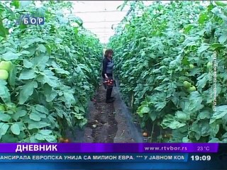 Dnevnik, 05. septembar 2015. (RTV Bor)