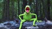 Kermit the Frog Takes The ALS Ice Bucket Challenge