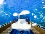 Try Hotel Under The Water? How Interesting Live Under The Sea