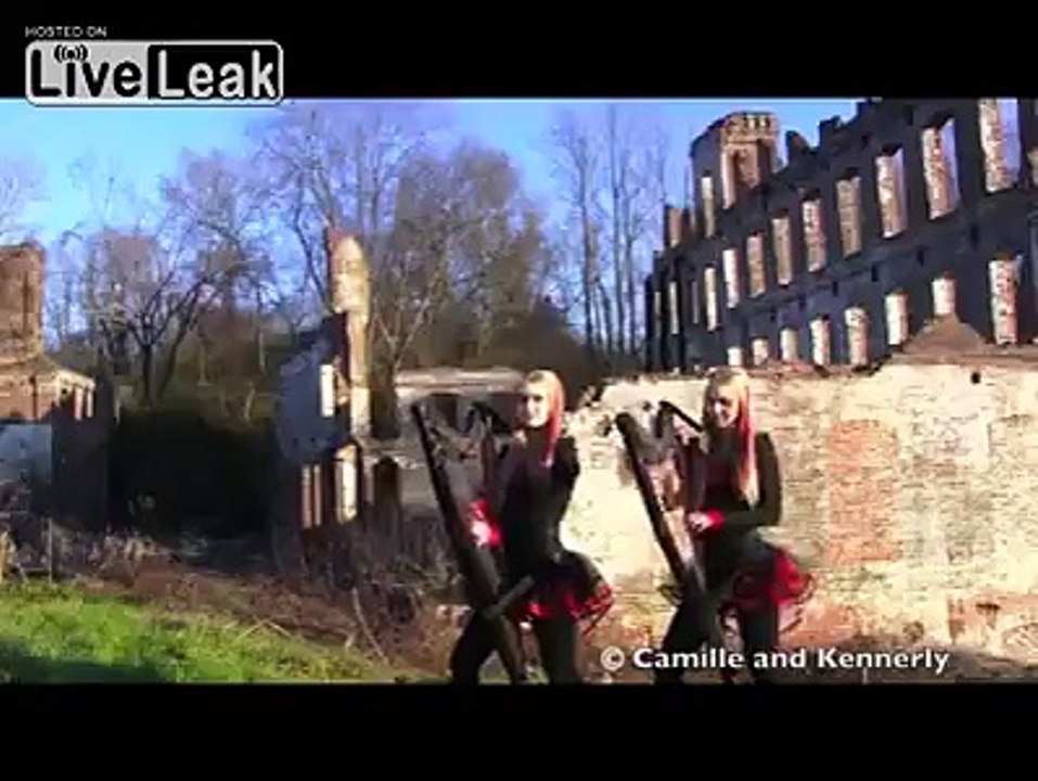 Harp twins !!!