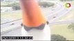 Toucan Photobombs a Traffic Camera in Brazil