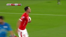 Switzerland - Slovenia 3-2, J. Drmić (1-2, 80'), 05.09.2015. Full HD