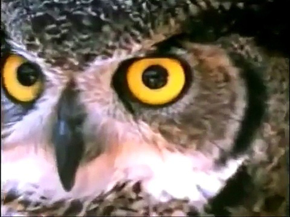 Tcheller Durrep   O Olho de Hórus (VÍDEO OFICIAL)
