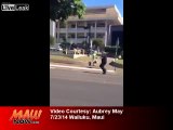 WHITE DUDE gets TASED by FAT COP = in Hawaii = funny stuff