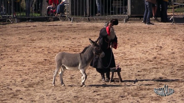 2015-fers Et Lames Spectacles Équestres