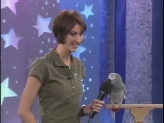Drole d'oiseau