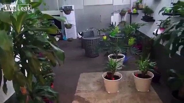 Kuwaiti police says weapons seized in Kuwait came from Iran.