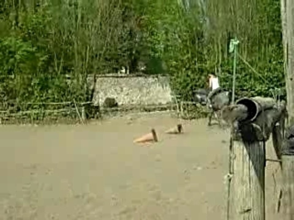 DSCN6712