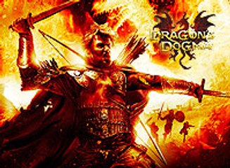 Dragon's Dogma, in-Game