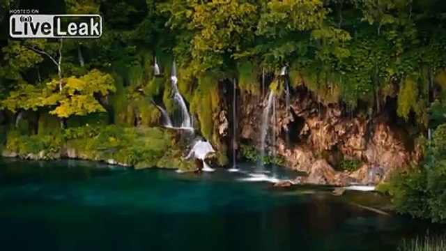 We are the Universe (Carl Sagan, Lawrence Krauss, Neil Degrasse Tyson)