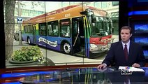 I'll-quit-rather-than-drive-Rainbow-Bus-say