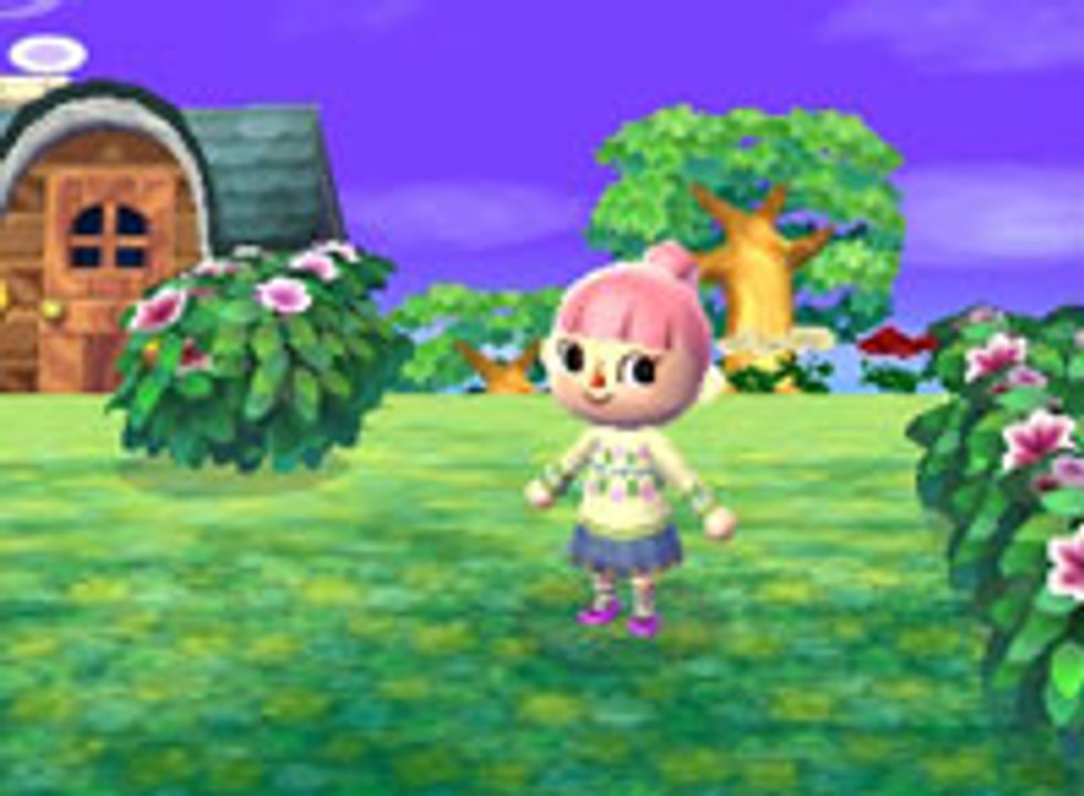 Animal Crossing 3DS