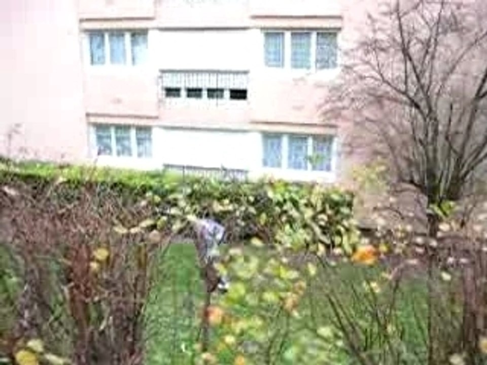 mdr