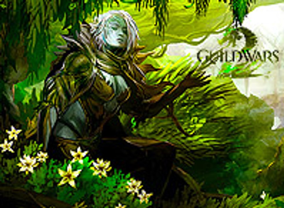 Guild Wars 2, Vídeo Impresiones