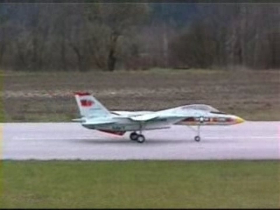 F14 bonsai