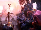 Trine 2: Director’s Cut