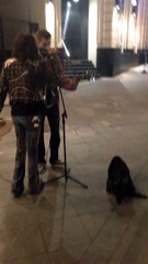 Steven Tyler accompagne un musicien dans la rue