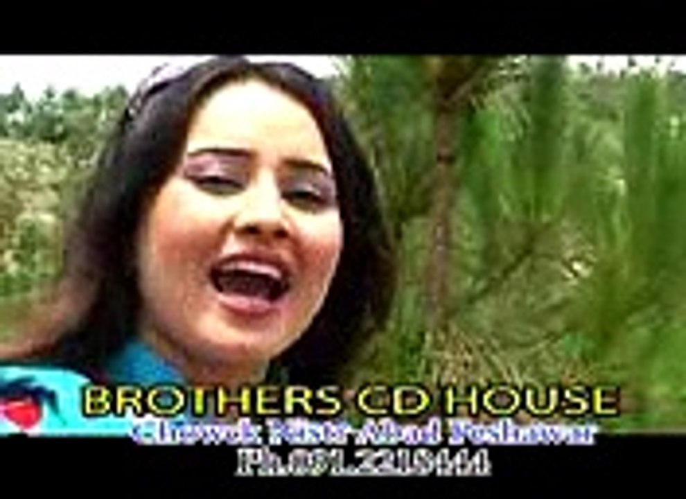 BRODAR HITS (8)_mpeg4