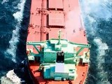 Mineraleros y cargueros (bulk carriers)