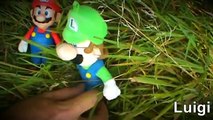 The Mario & Luigi Super Stories: Meet Yoshi!