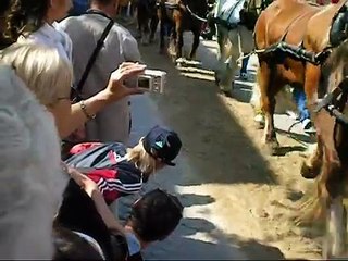 record du monde attelage chevaux