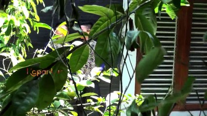 Intip Si Kembar Rizky-Ridho Menggoyang Redaksi Kapanlagi.com