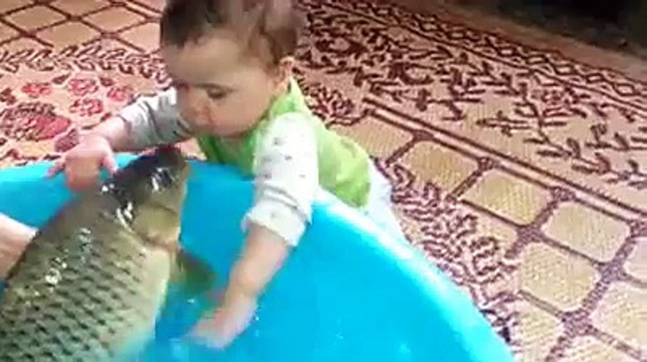 Funny little girl