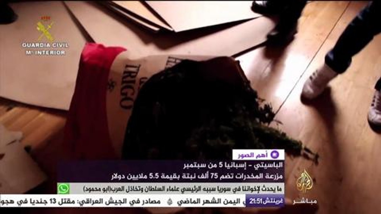 الشرطة الإسبانية تضبط مزرعة مخدرات تضم ٧٥ ألف نبتة بقيمة ٥.٥ ملايين دولار