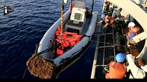 327 naufragés secourus sur les côtes italiennes