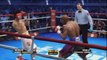 Fight Night Champion - Manny 'Pac-Man' Pacquiao vs. Timothy 'Desert Storm' Bradley - Round 4 - [HD]