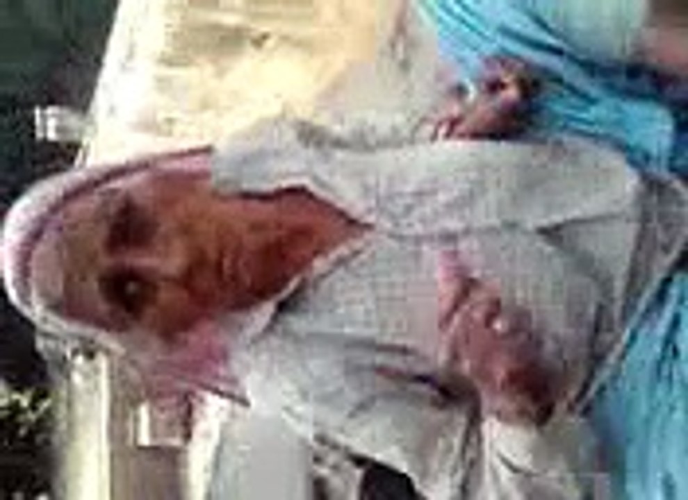 Burya Dance in 80