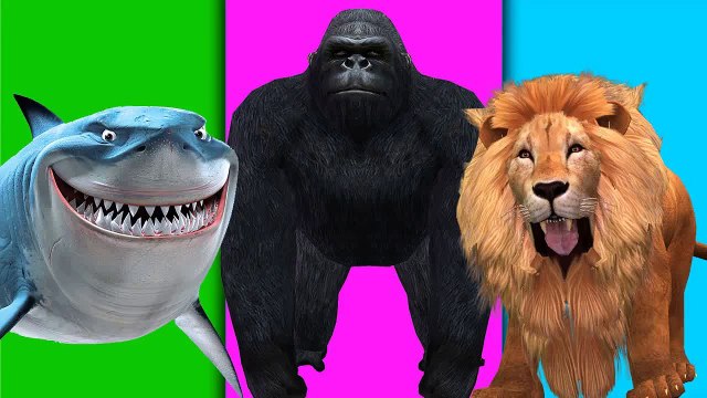 Animals Cartoons Train Song | Wheels On The Bus | Finger Family Rhymes | Old MacDonald Had A Farm