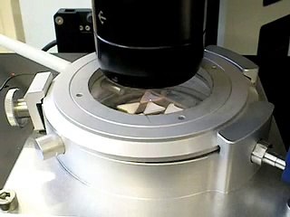 Laser Ablation of Shark Vertebrae