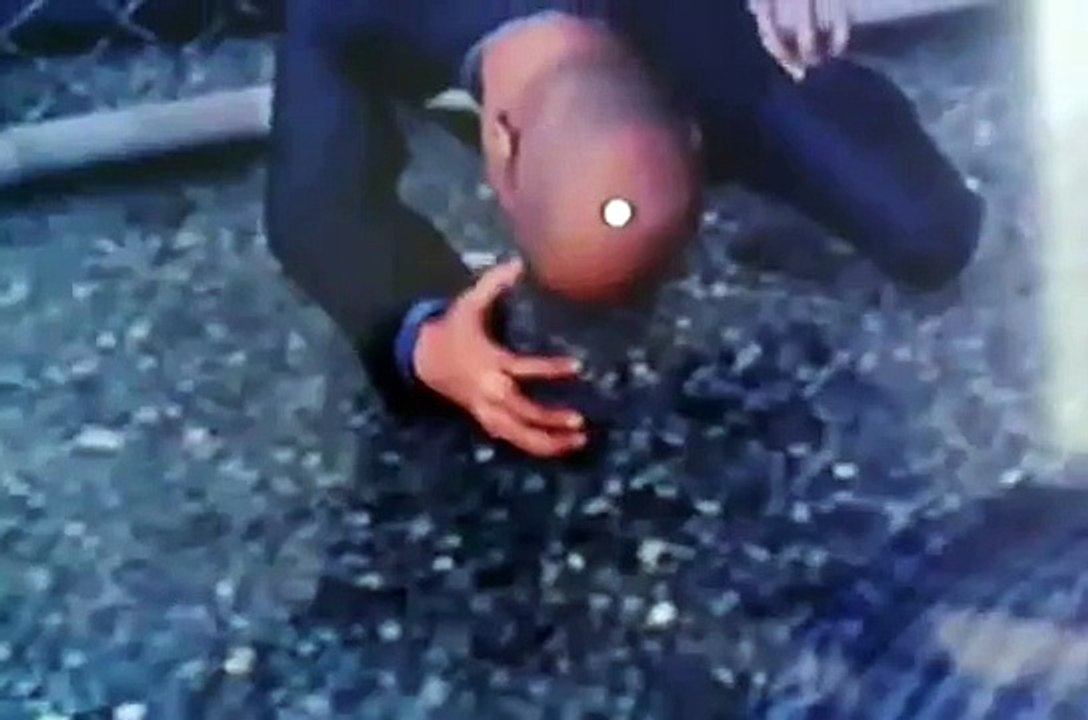 LA Noire Fence Sex
