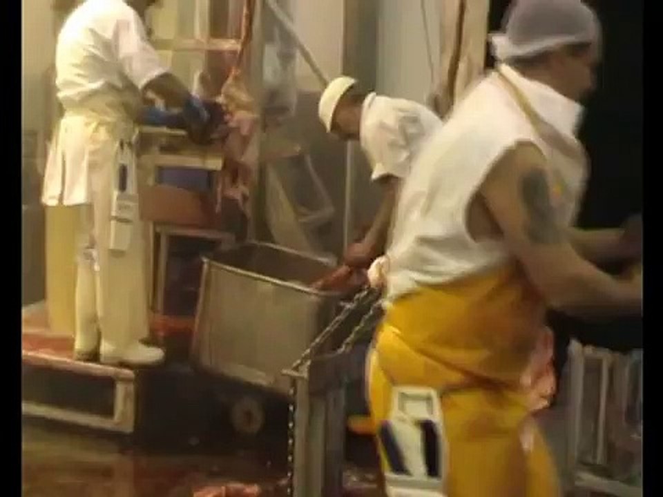 Cattle Skinning machine  - skin-harvester removes the skin to make leather