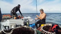 Careers in Diving - Sea Urchin Diving - Interview with diver Chris Nelson