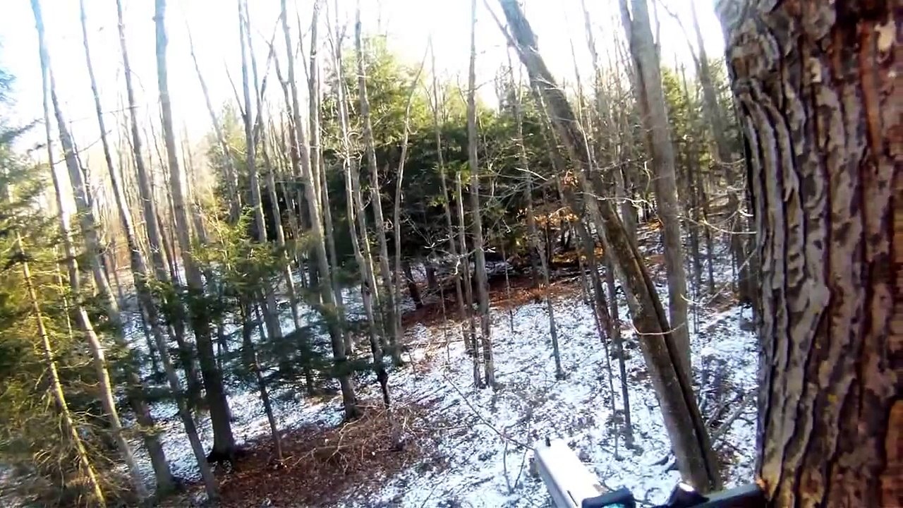 10mm Glock longslide Deer.. 2013 Wisconsin