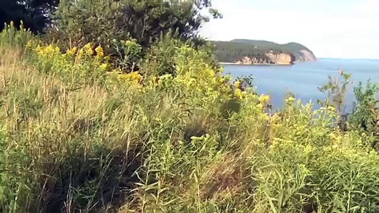 Fundy National Park | About | Alma, New Brunswick, Canada