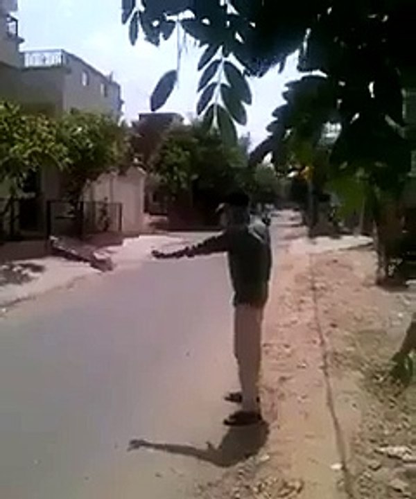 Top ten Funny video