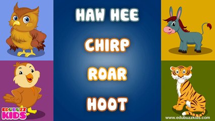 The Animal Sounds Song   Sounds of the Animals Song