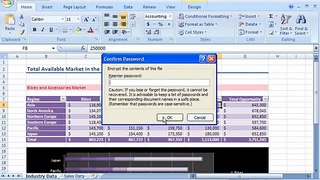 Excel, Word, PowerPoint 2007 Demo: Set a password on a file